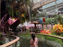-正佳雨林生态植物园