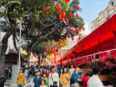 -越秀西湖花市(广州城市广场花卉店)