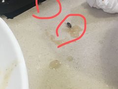-菜忠潮州牛肉店(岗厦店)
