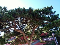 -妙峰山风景名胜区
