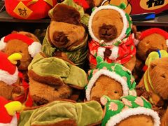 -酷乐潮玩(五道口购物中心店)