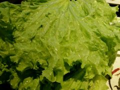-新疆烧烤王(广灵店)