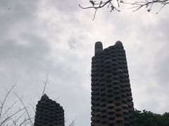 -金卉庄园