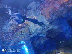 -华夏文旅海洋公园