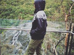 -热带雨林自然公园