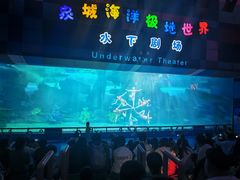 -泉城欧乐堡海洋极地世界
