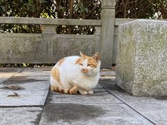 -敬亭山风景名胜区