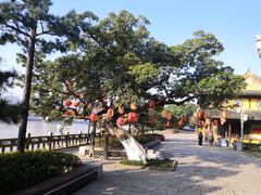 -江心屿景区
