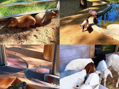 -南戴河国际娱乐中心