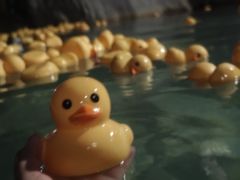 -湖泉半山温泉