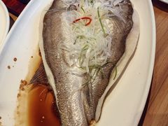 -聚友斋(柳泉路八大局店)