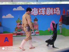 -成都浩海立方海洋公园