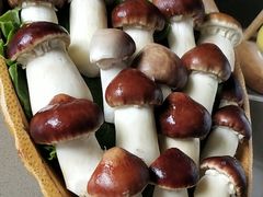 -享月汤皇(高新区店)