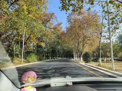 -钟山体育运动公园