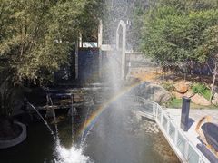 -石家庄市动物园