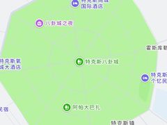 -特克斯八卦城