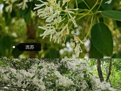 -国家植物园南园