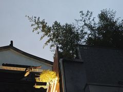 -大妙火锅·非物质文化遗产(东湖公园店)