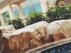 -沈阳龙润夏宫温泉水乐园