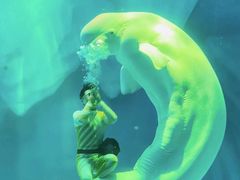 -上海海昌海洋公园-冰山北极馆