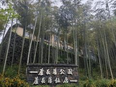 -莫干山风景区