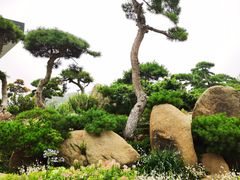 -罗红摄影艺术馆