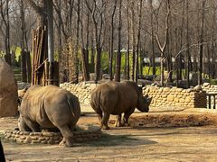 -北京野生动物园