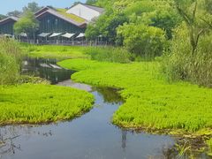 -西湖风景区-江洋畈生态公园