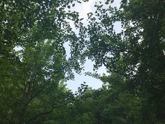 -艾溪湖湿地公园