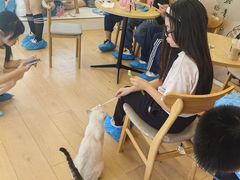 -Let's go狗咖·猫咖·奶狗·桌游(春熙路IFS店)