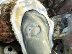 -鼓歌海鲜舫·手抓海鲜(大学城店)
