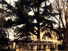 iphone_upload_pic-八大关景区