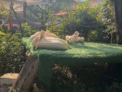-广州长隆国际大马戏