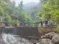 -大奇山国家森林公园
