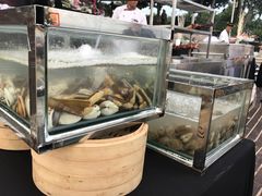 -亚龙湾喜来登·美景台大堂吧