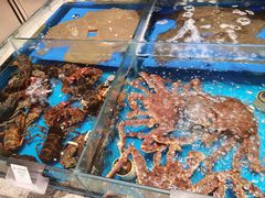 -映像威海·海鲜味道(经区店)