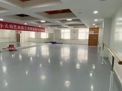 -西安小天鹅艺术团(金花路校区)