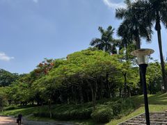 -东莞植物园