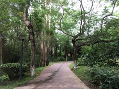 -燕晗山郊野公园