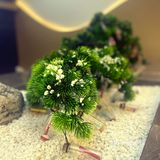 一叶亦花🌸有夜光杯的本土茶饮