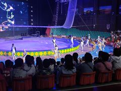 -蓬莱欧乐堡梦幻世界