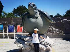 -广东惠东海龟国家级自然保护区