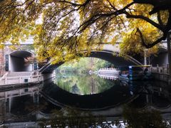 -金春禧(世茂国际广场店)