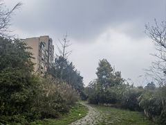 -樱桃山旅游景区