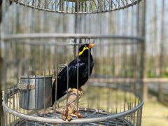 -昆山城市生态森林公园