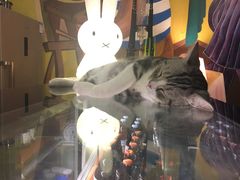 -咖法森林·咖啡  酒吧(天河店)