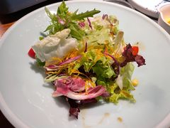 -森味薪火烧•烧鸟居酒屋•日本料理(望京店)