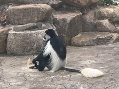 -上方山森林动物世界