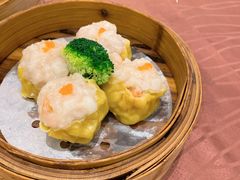 虾仁烧卖皇-顺悦酒家(嘉信城市广场店)