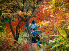 -九如山休闲旅游度假区